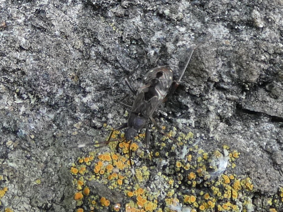 photo_2